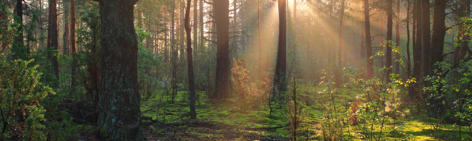 420191869_692551026411891_8391495916701058908_n